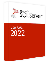 SQL Server 2022 - 1 User CAL
