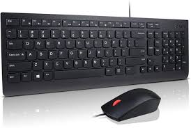 Lenovo - Keyboard and mouse set - Essential Wired Combo