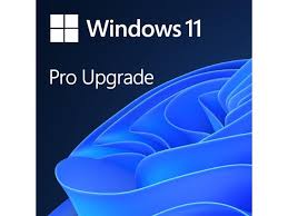 Windows 11 Pro Upgrade