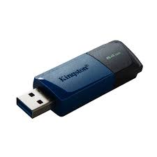 Kingston - USB flash drive - USB 3.2 Gen 1 - DataTraveler Black/Blue
