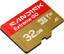SanDisk - Flash memory card - Extreme Go microSD UHS-I 32GB
