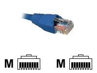 [AB360NXT02] Nexxt - Cable de interconexión - RJ-45 (M) a RJ-45 (M) - 90 cm - UTP - CAT 5e - moldeado, trenzado - azul
