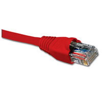[798302030558] Nexxt Patch Cord Cat6 3Ft. RD