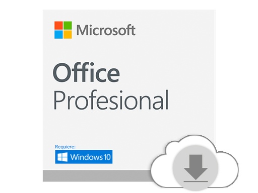 [269-17067] Microsoft Office Professional 2019 - Licencia - 1 PC - descarga - ESD - al por menor nacional, Click-to-Run - Win - All Languages - América Latina