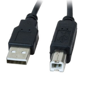 [XTC-303] Xtech - USB cable - 3.04 m - 4 pin USB Type B - 4 pin USB Type A - 2.0 male-male mold