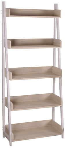 [XTF-BS249] Xtech - 5-shelf bookcase