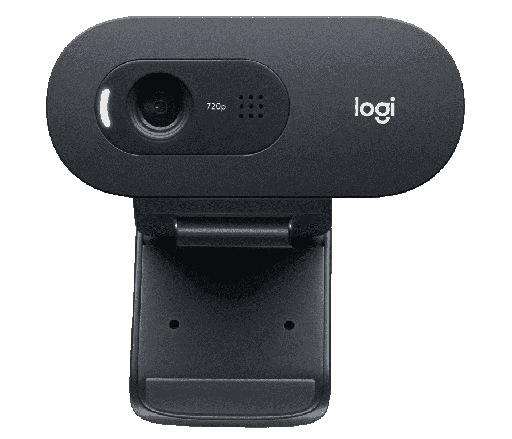 [960-001363] Logitech C505 - Cámara web - color - 720p - focal fijado - audio - USB