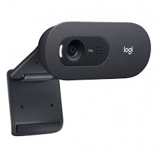 [960-001367] Logitech C505 - Webcam - color - 720p - focal fijado - audio - USB