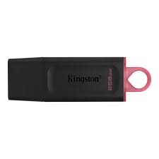 [DTXS/256GB] Kingston - USB flash drive - USB 3.2 Gen 1 - Exodia S Black Orange