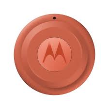 [PG38C08031] Motorola - Tag - Arabesque and Laurel Oak
