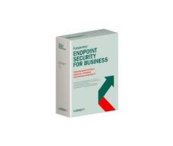 [KL4863DAKFR] KL4863DAKFR -Kaspersky Endpoint Security for Business - Select Latin America Edition. 10-14 Node 1 year Renewal License